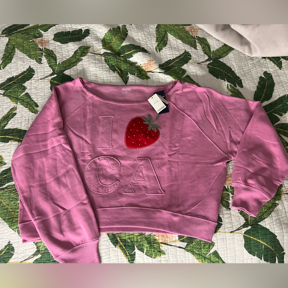 Hollister Pink Garment